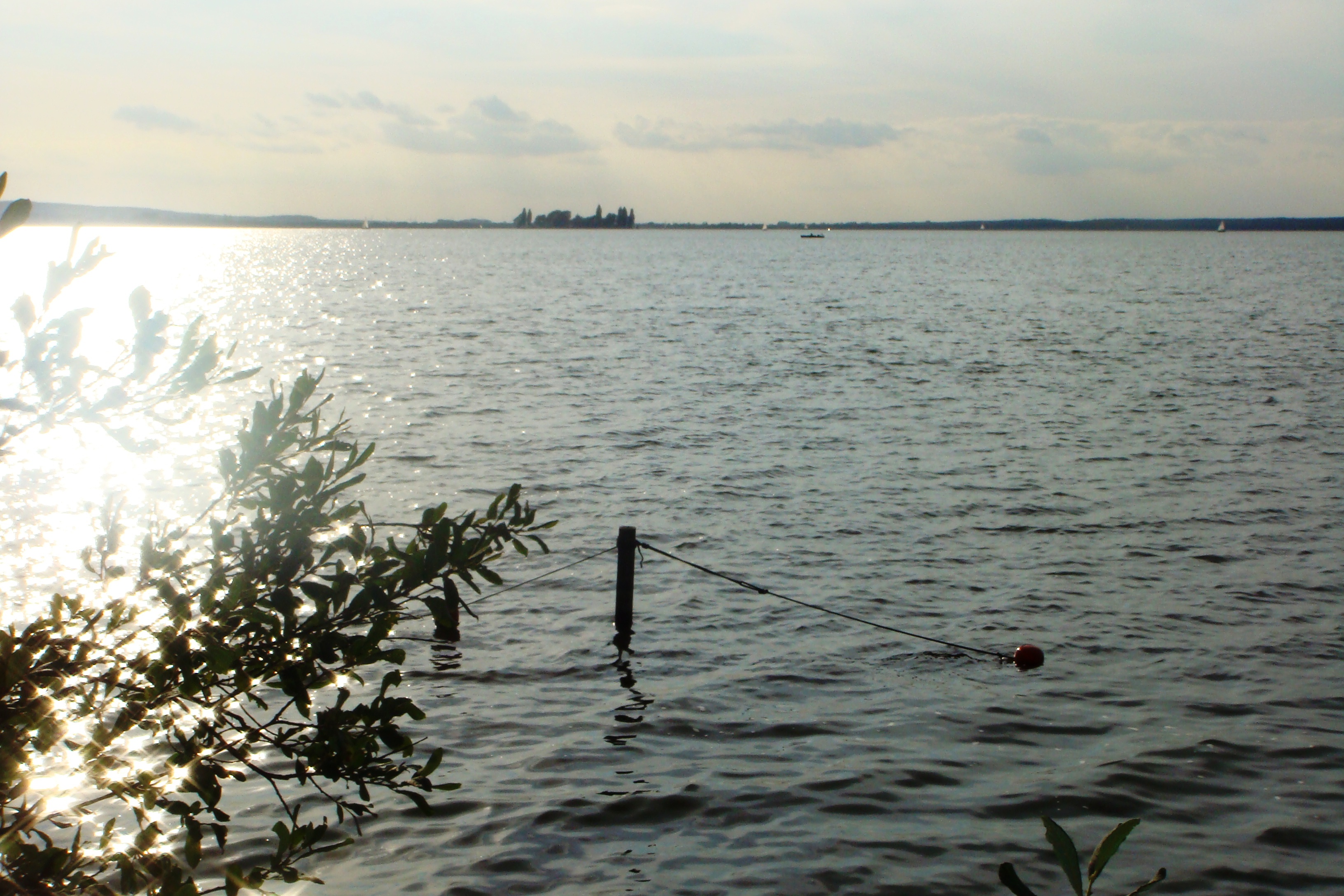 C04441.jpg