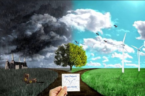 Economy-and-ecology.jpg