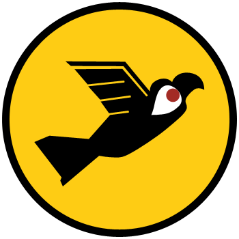 IAF Squadron 131.png
