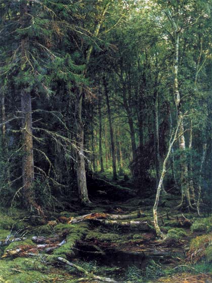 Лесная глушь. 1872 (за картину художник получил звание профессора в 1873 г.[3])