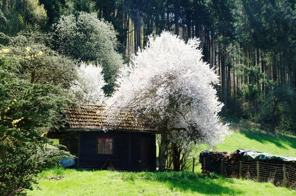C03927.jpg