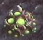 CreepTumor SC2 Game2.jpg