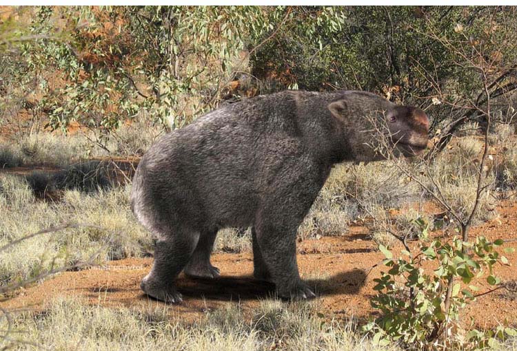 Diprotodon 1.jpg