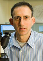 Bme.profile.meller.jpg