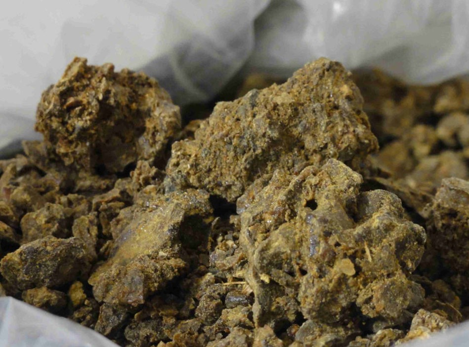 Propolis-21 d.jpg