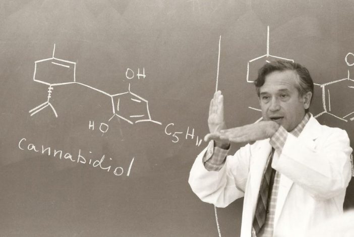 Mechoulam-e1464894280678.jpg