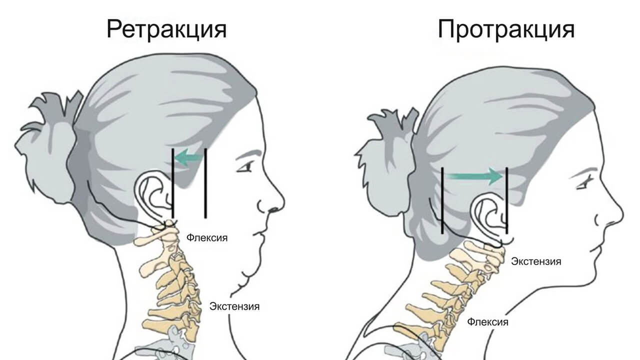 Протракция.jpg