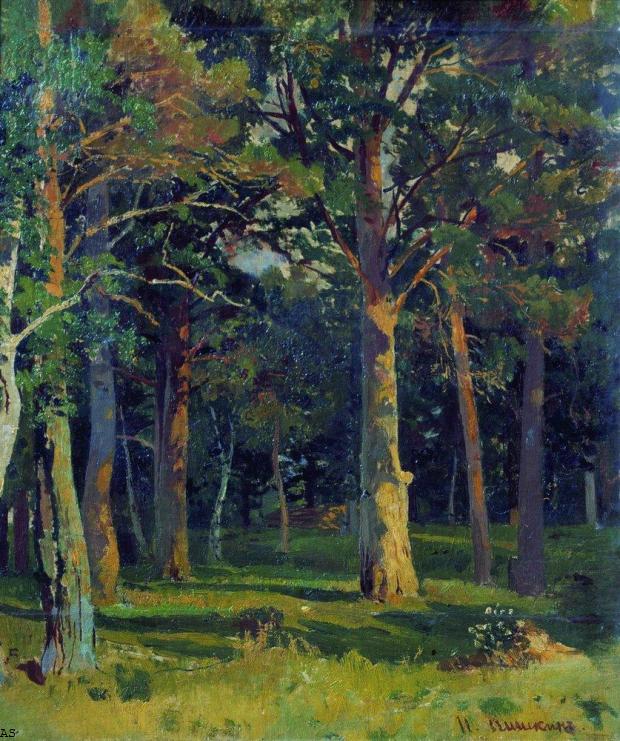Лес, сосны (время создания неизвестно)