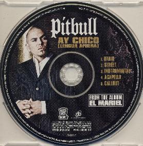 Pitbull Ay Chico.jpg