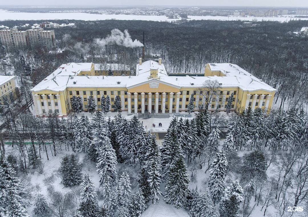 ВГЛТУ