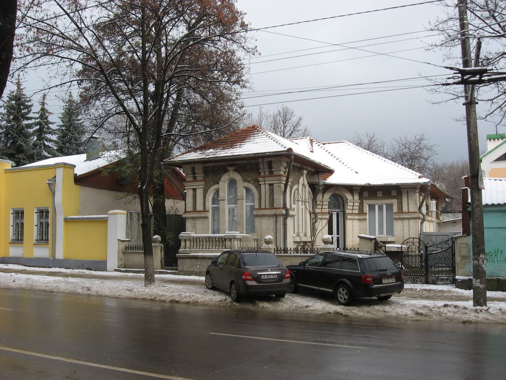 Современный особняк