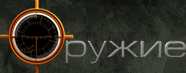Файл:Оружие.png
