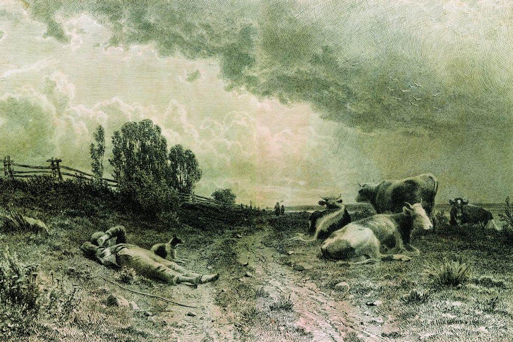 Летом в поле (Пейзаж со стадом). 1860-е