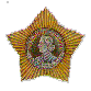 Орден Суворова II степени