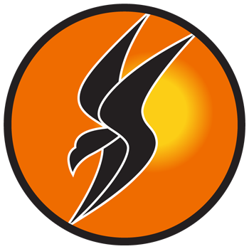 IAF Squadron 166.png