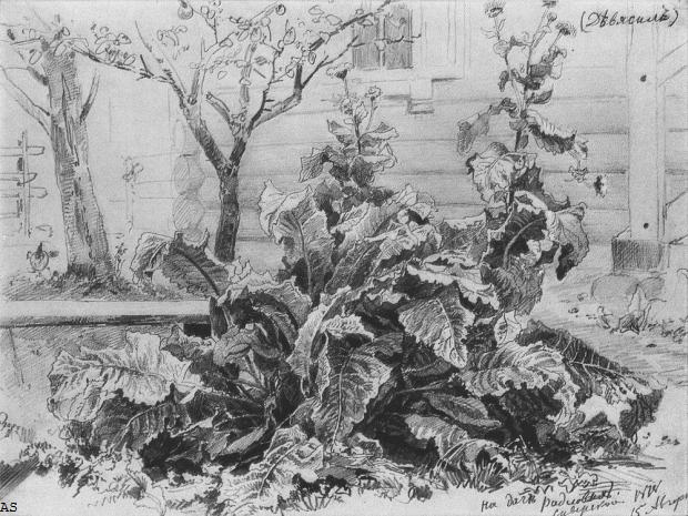 Лопухи. 1878