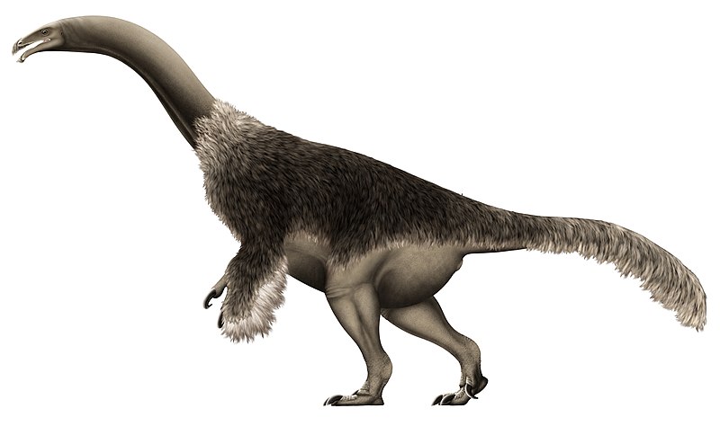 Segnosaurus Restoration.jpg