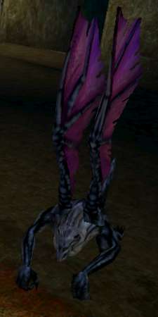 Gargoyle.jpg
