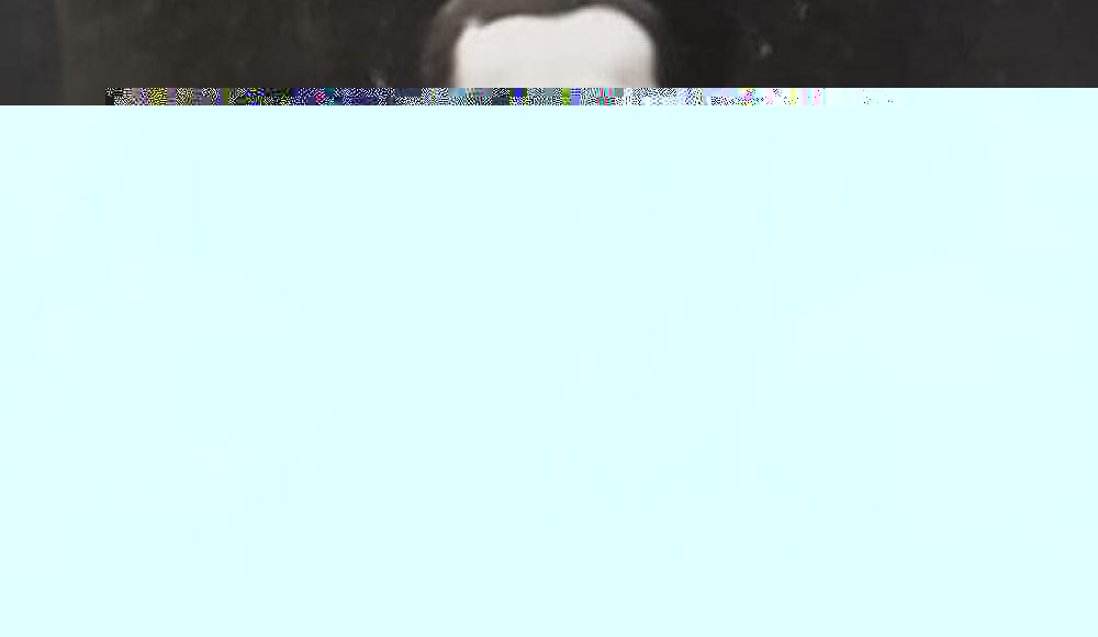 F84a175a3f8026c8485437d19b8dce05.jpg