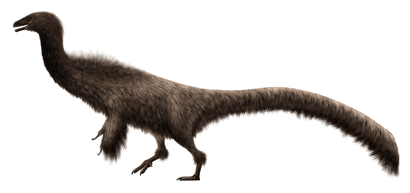 Falcarius Restoration.png