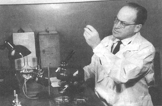 ZILBER-3.JPG