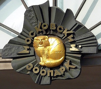 Manul zoo.jpg