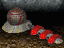 Clckicon.gif