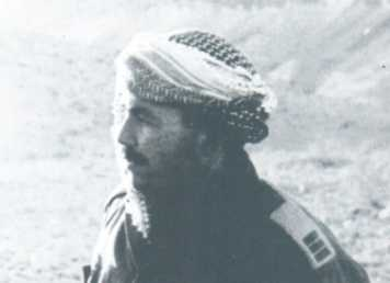 Amos Yarkoni.png
