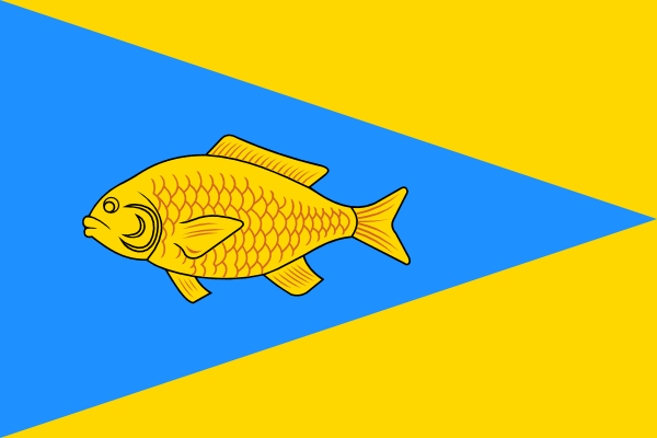 Флаг города Ишим