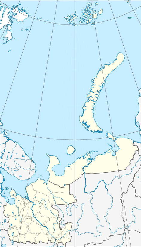 Каргополь (Архангельская область)