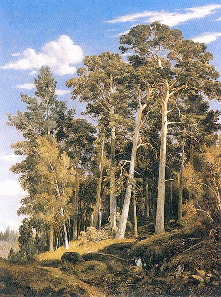 Сосновый лес. 1866