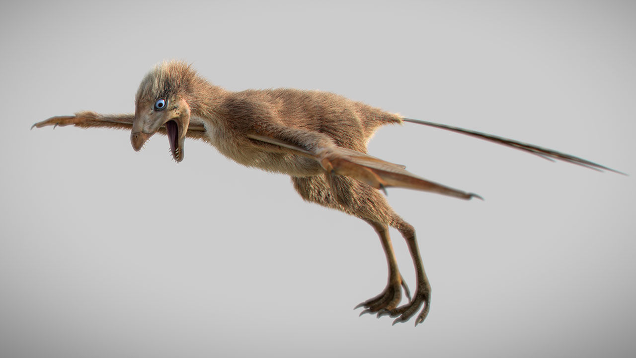 Wing dino 16x9.jpg