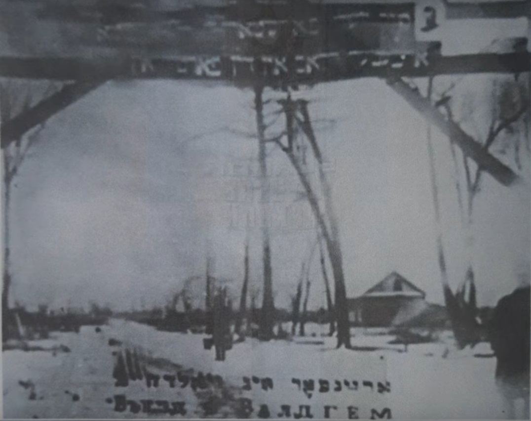 ВалдгеймG2k5uc5v.jpg