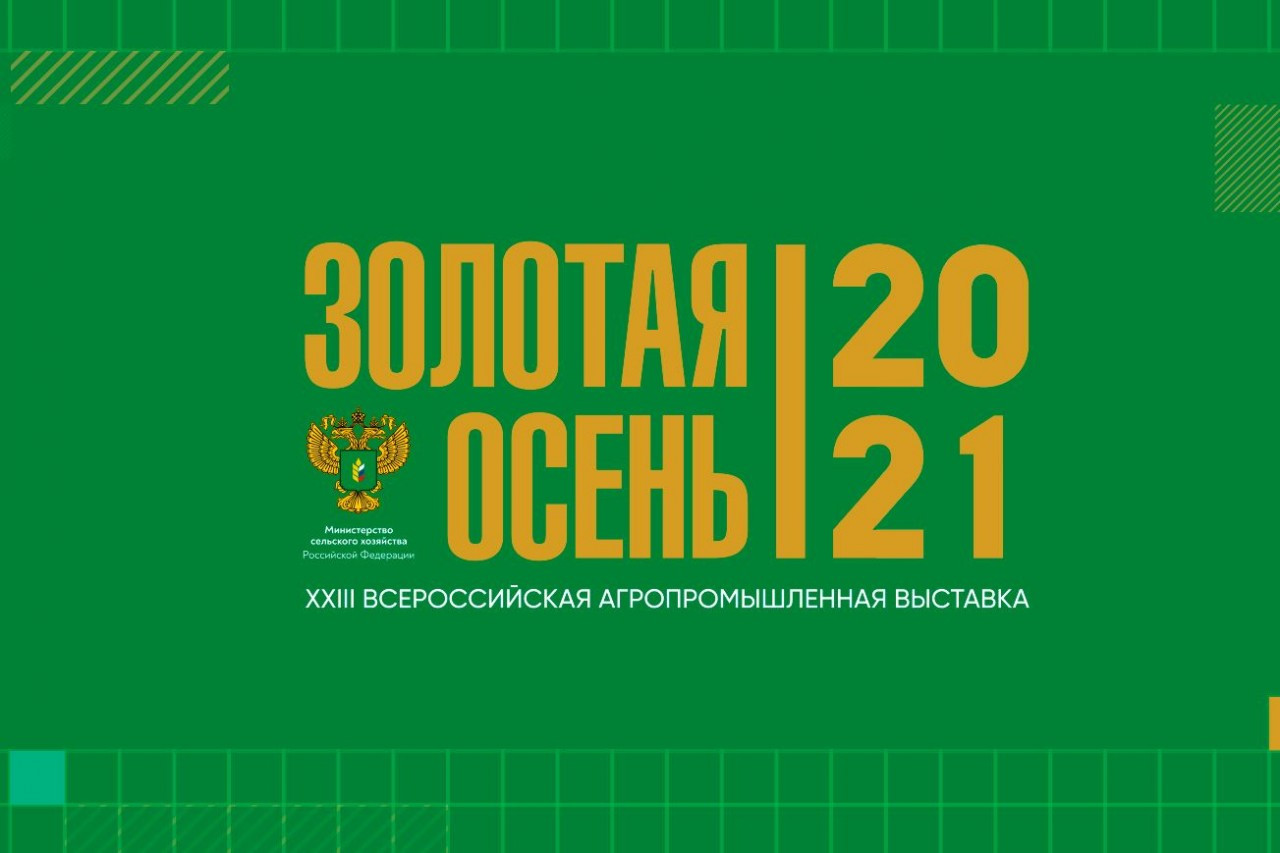 Файл:Золотая осень-2021.jpg