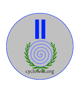 Серебряный призёр, вице-чемпион — Cat1987