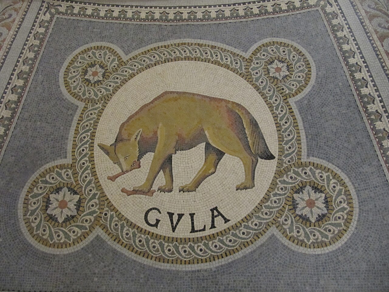 Gula