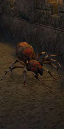 Largeghoulspider.jpg