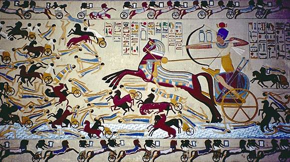 907d03e459b0.jpg