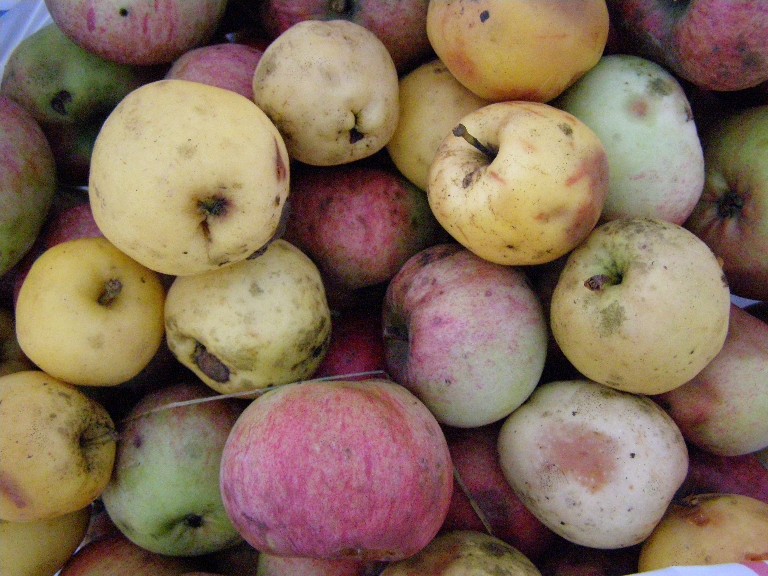 PA238722b.JPG