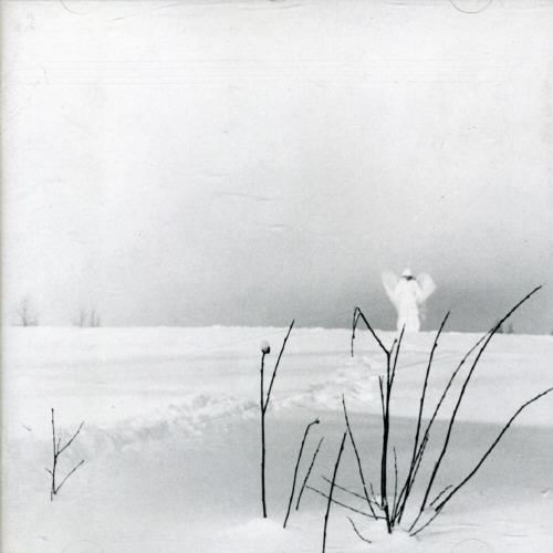 Обложка альбома «In frostigen Tälern» (Timo Rautiainen ja Trio Niskalaukaus, 2001)