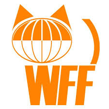 WFF 11.jpg