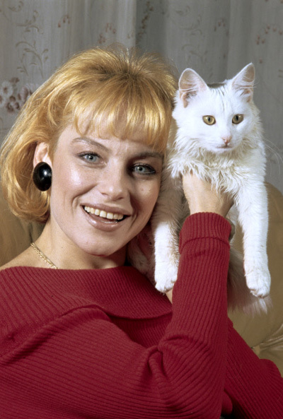 Irina-ponarovskaya-do-i-posle-plastiki.jpg