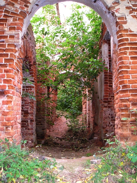 Zendikovo3.jpg