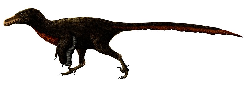 Adasaurus Restoration.jpg