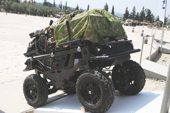 Mule side.jpg