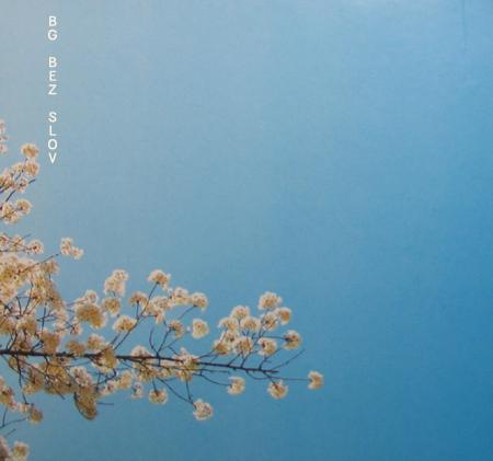 Обложка альбома «Без слов» (Бориса Гребенщикова, 2004)