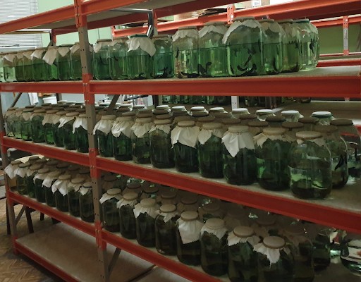 Biofabrika4.jpg