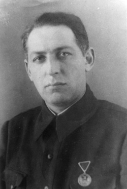 Н. А. Гольдберг.jpg