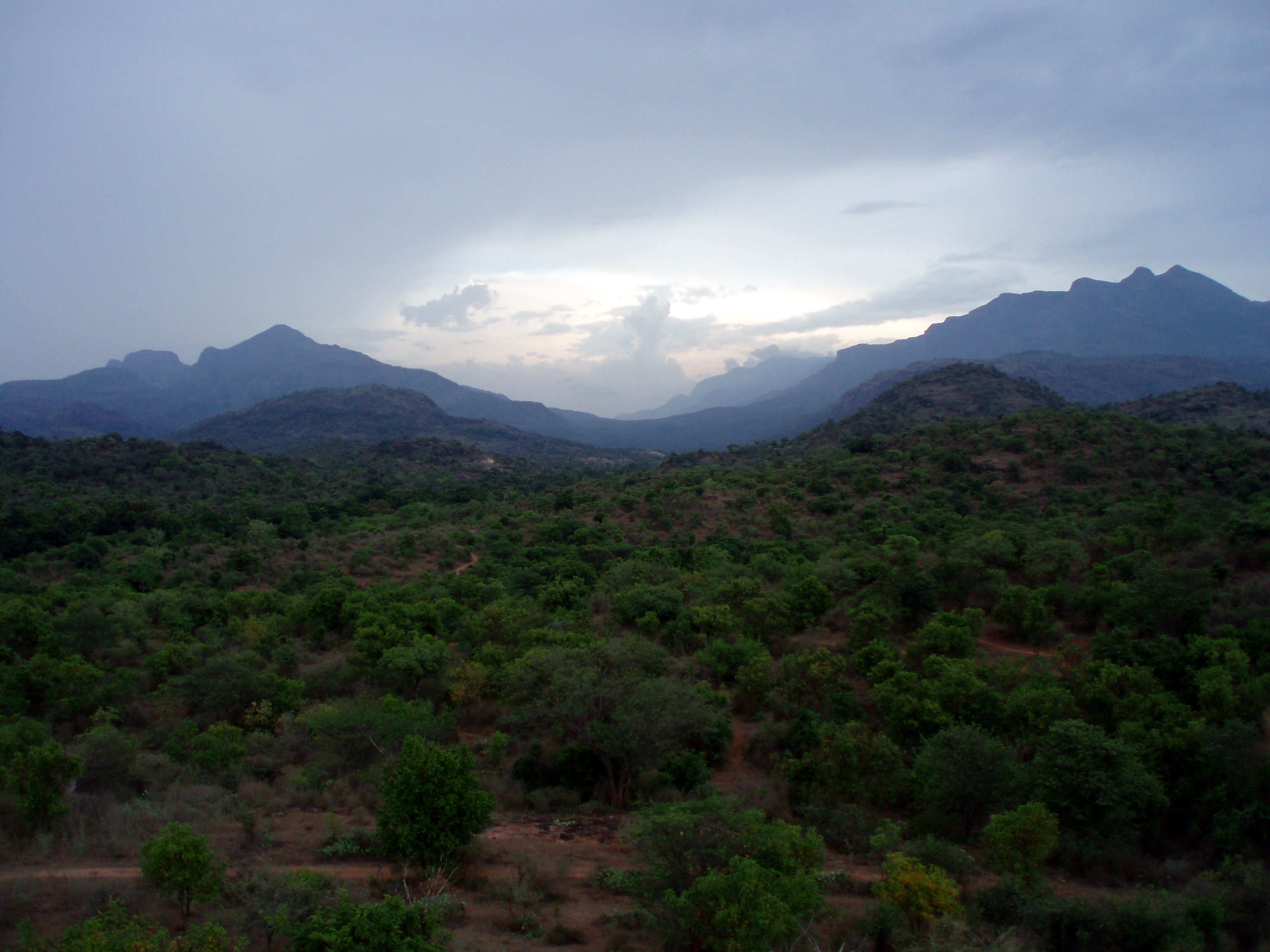 Chinnar Wildlife Sanctuary.jpg
