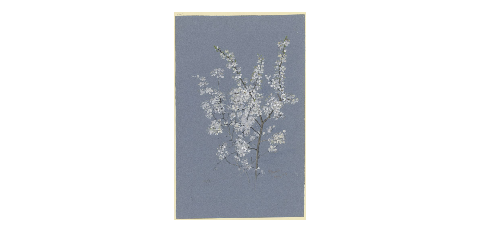Marie Paquet-Steinhausen Blooming branch.png
